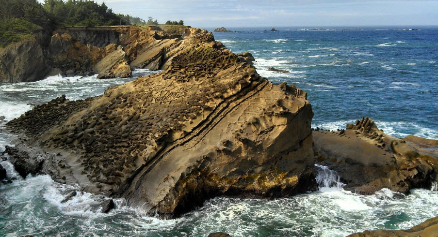 Shore Acres State Park, United States